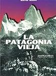 Análisis de la mochila Patagonia Fitz Roy: la compañera perfecta para tus aventuras en la montaña