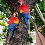 Loro de roca: Análisis detallado de un imprescindible en deportes de montaña y riesgo