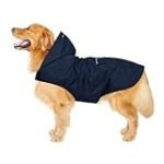 Guía de compra: Ropa de perro grande para aventuras de montaña y actividades de riesgo